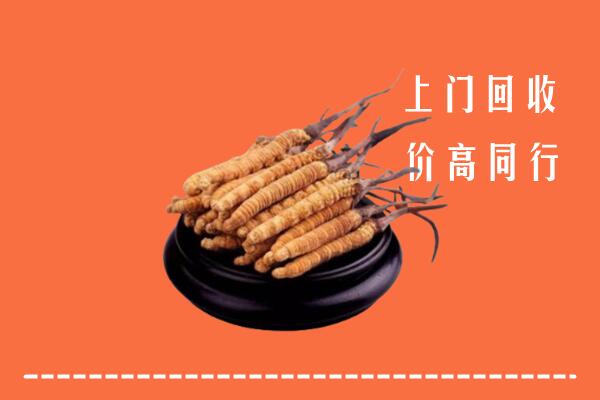 附近收购：鹤山区冬虫夏草回收多少钱每克