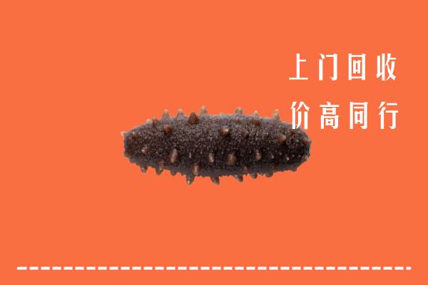 鹤山区回收海参
