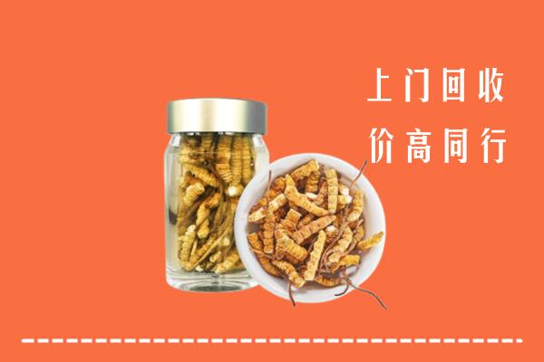 鹤山区回收冬虫夏草